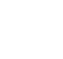 אלפסי גרופ
